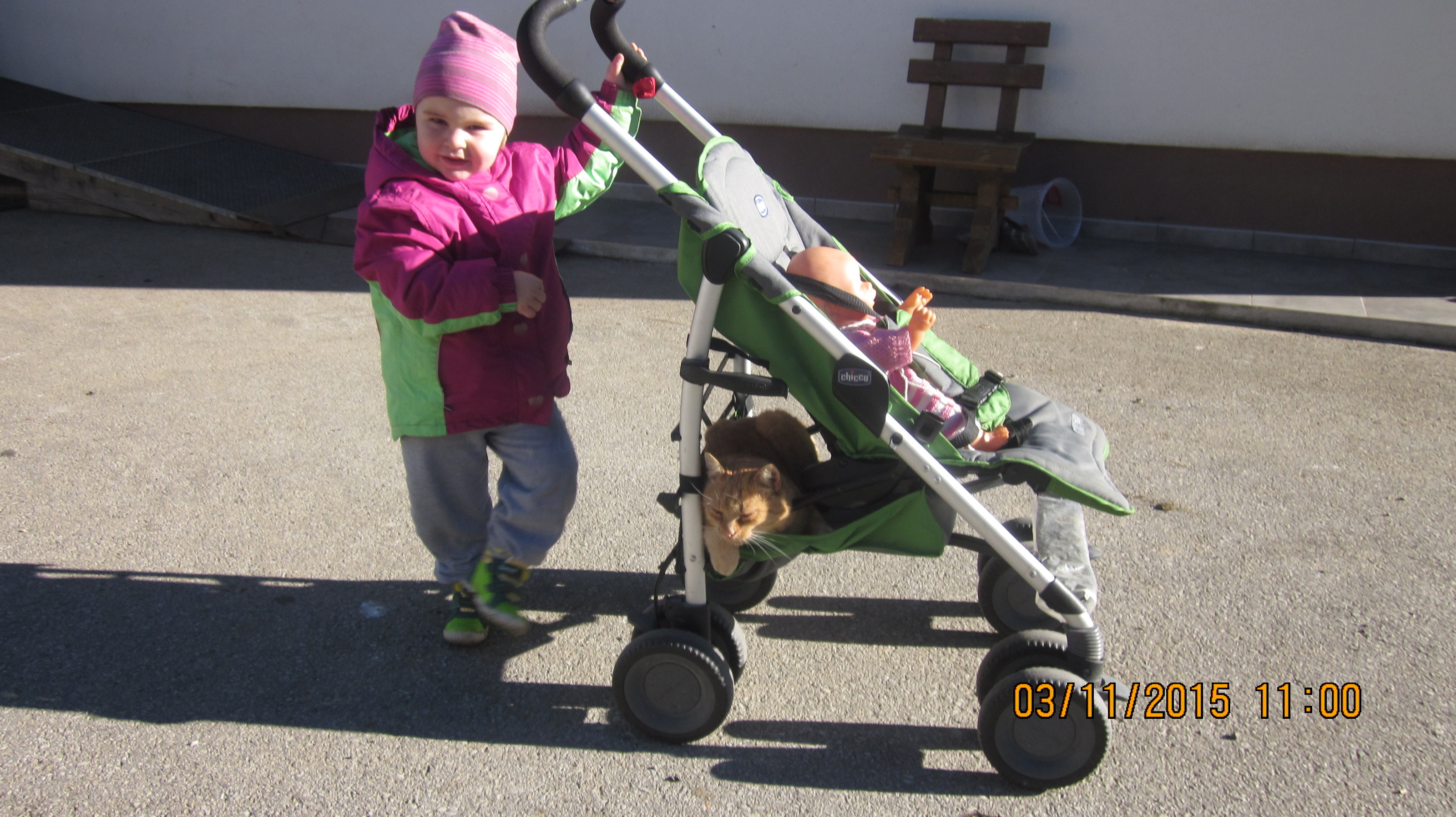Julia mit ihrem geduldigen Kater Felix, Staudach 