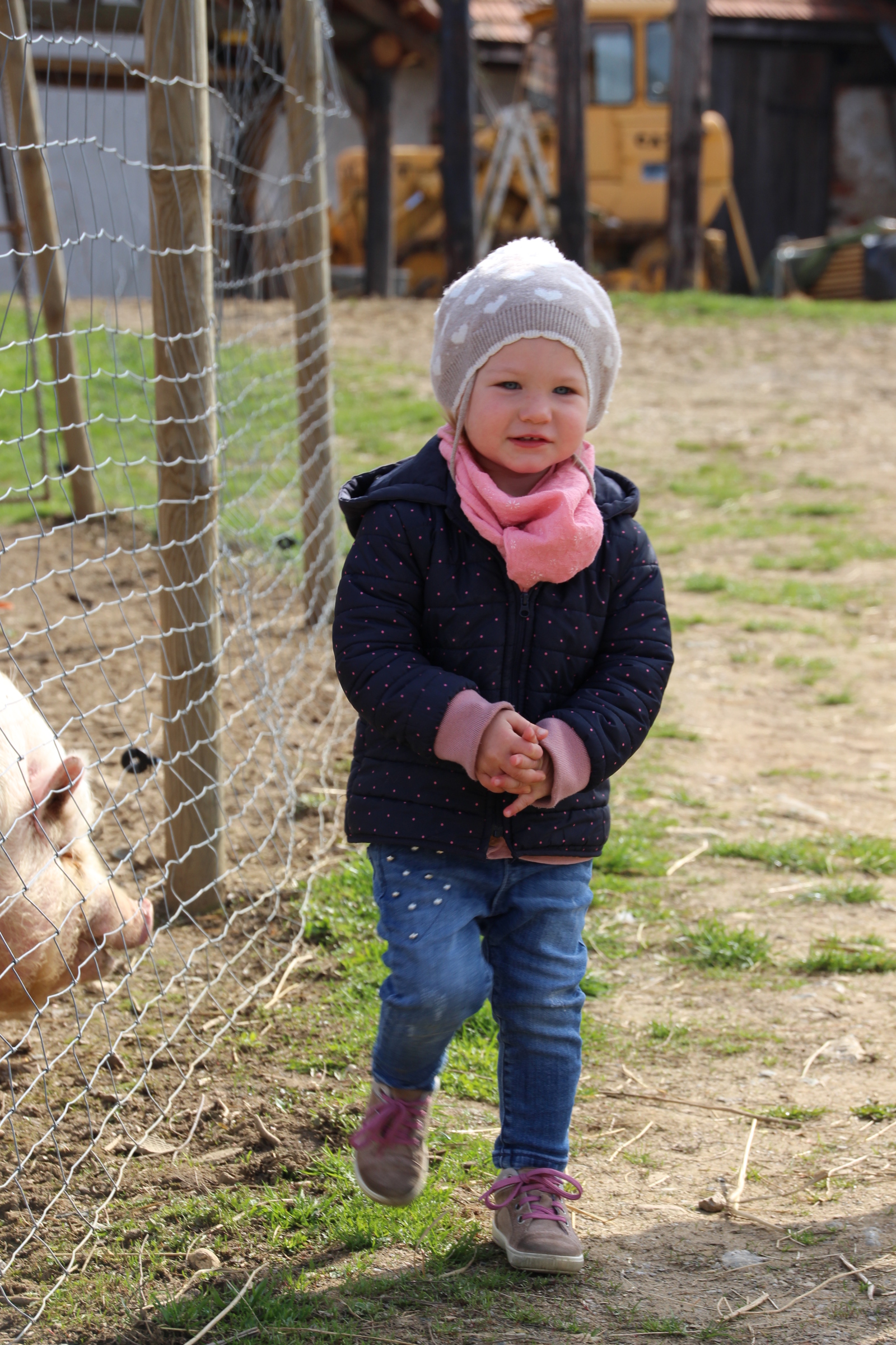 zur Lieblingsbeschäftigung auf Omas Bauernhof zählt das Füttern der Schweine