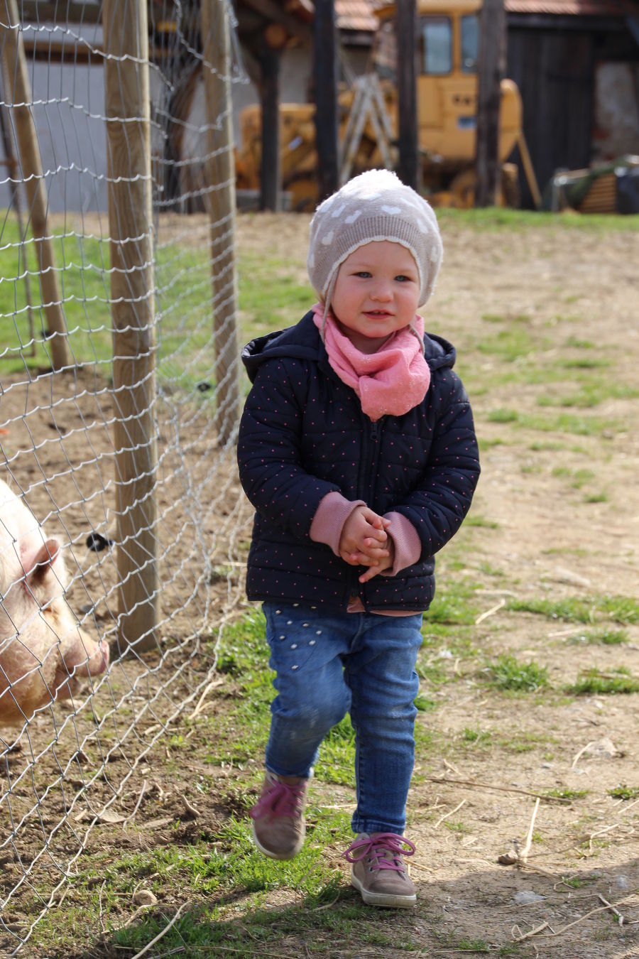 zur Lieblingsbeschäftigung auf Omas Bauernhof zählt das Füttern der Schweine