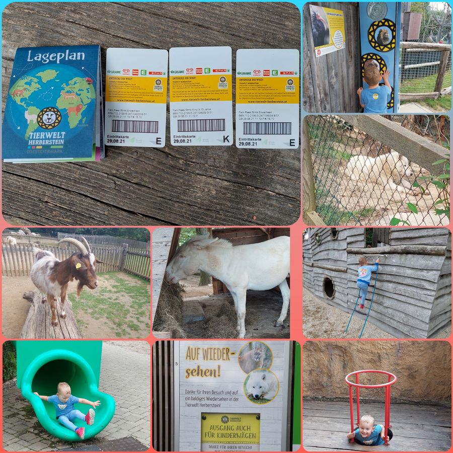 Tierwelt Herberstein