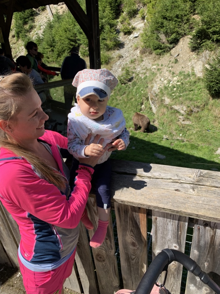 Der wilde Berg Mautern