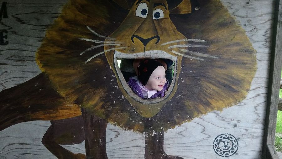 Tierwelt Herberstein