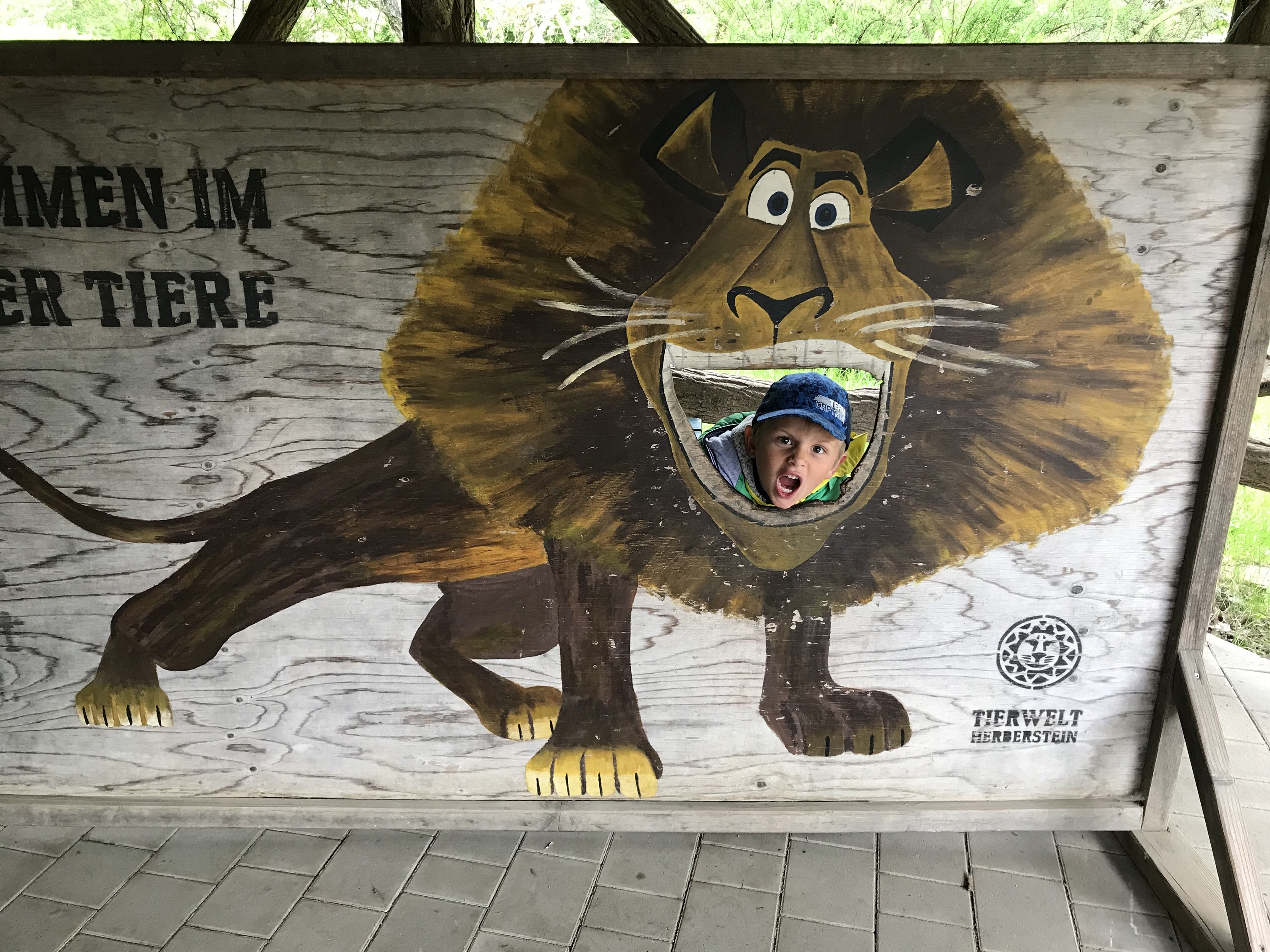 Tierwelt Herberstein