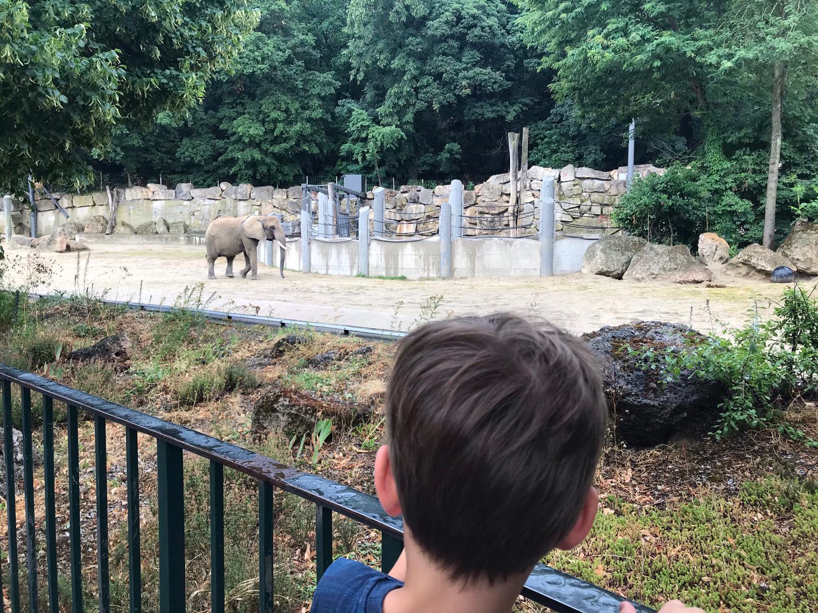 Tierpark Schönbrunn