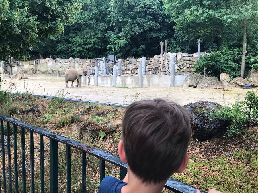 Tierpark Schönbrunn