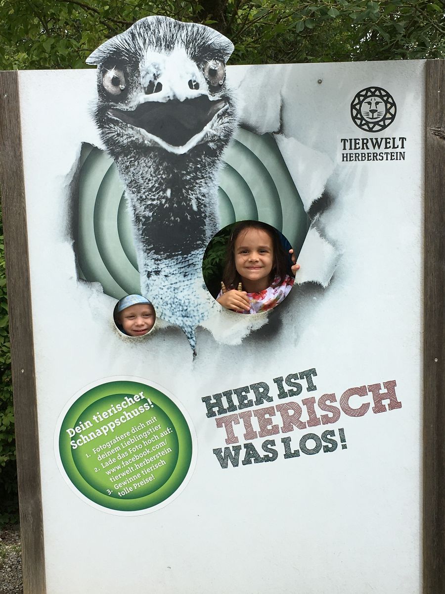 Tierwelt Herberstein