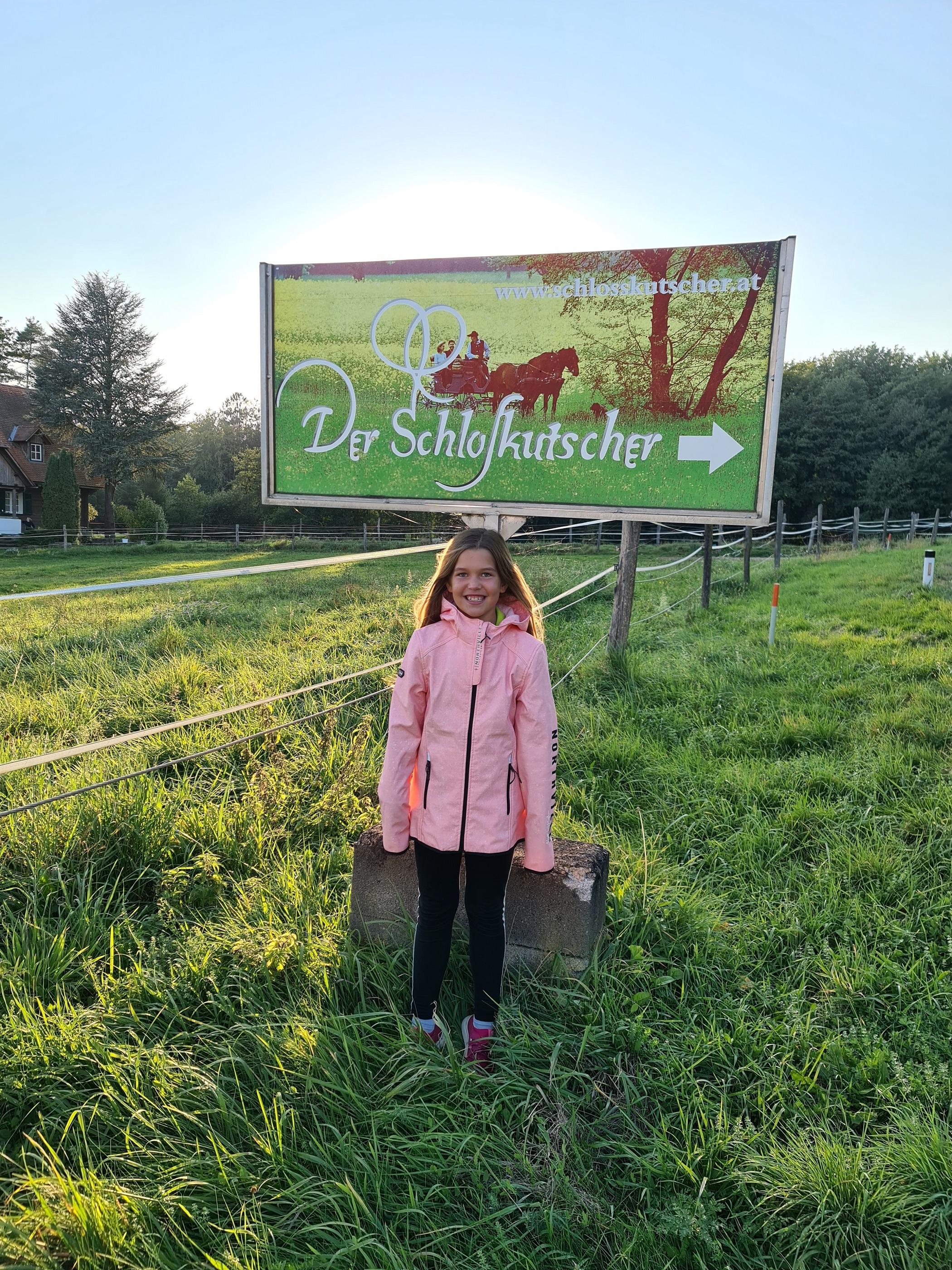 Der Schlosskutscher