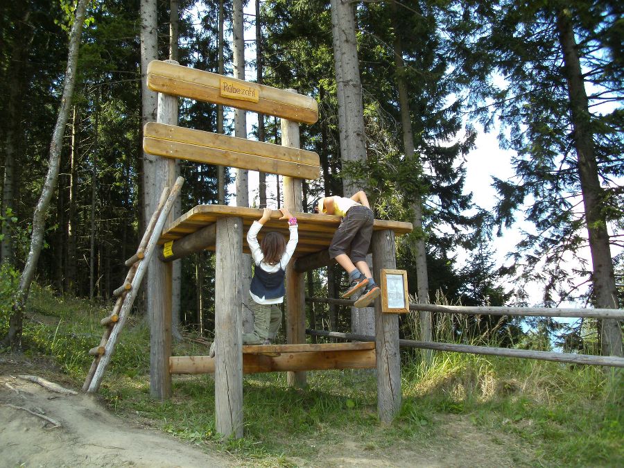 Wipfelwanderweg Rachau