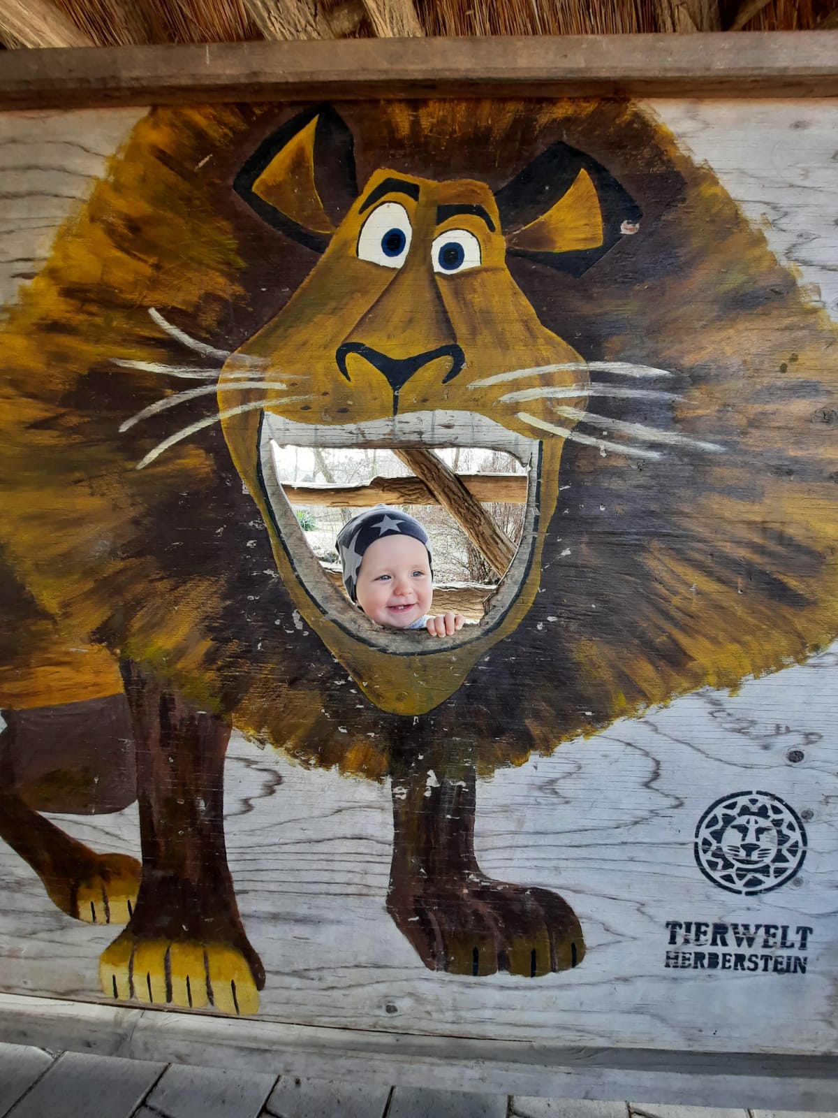 Tierwelt Herberstein