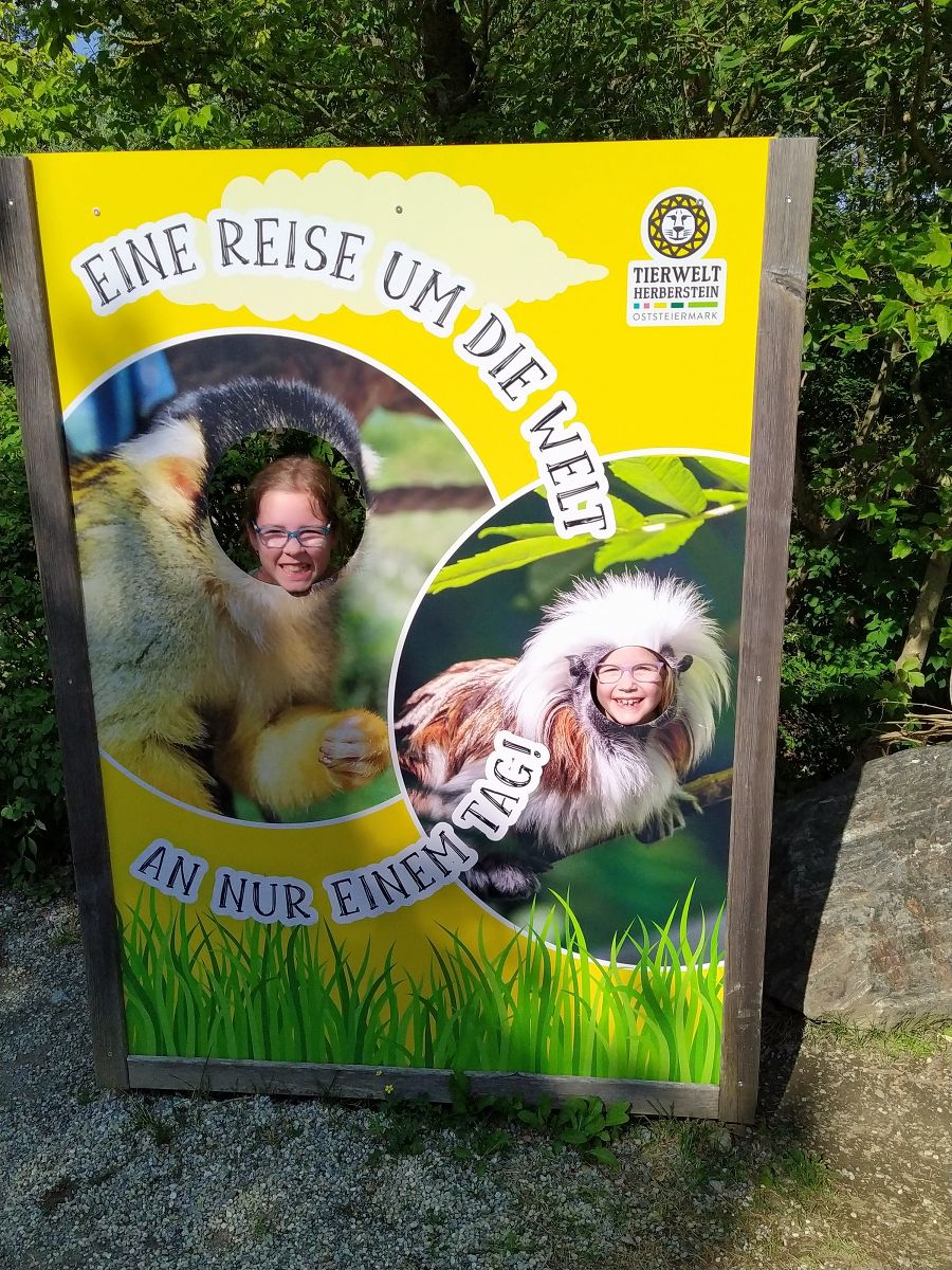 Tierwelt Herberstein